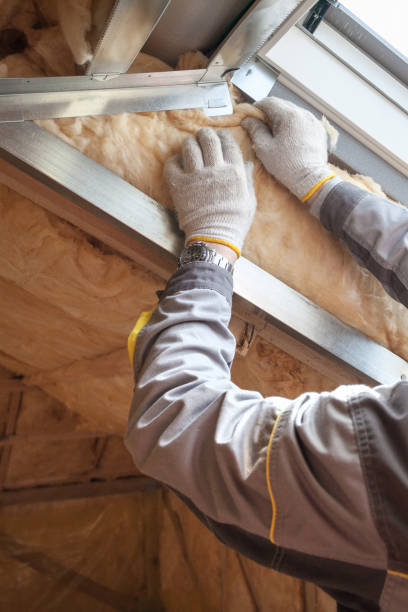 Professional Insulation Contractor in VA